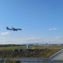 IMG_0018.JPG